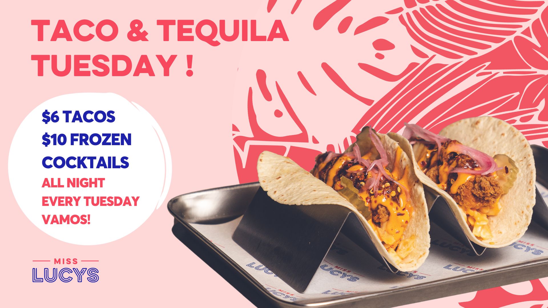 Taco & Tequila Tuesday's! Miss Lucys Auckland